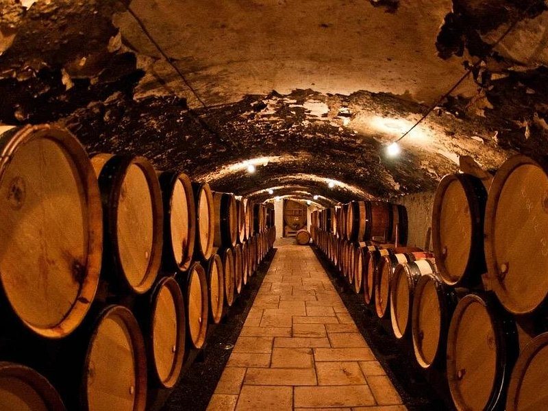 Barrels lining a chalk cellar tunnel in the Champagne region